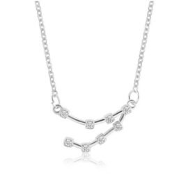 Zodiac Necklaces - 17 Capricorn silver 6771