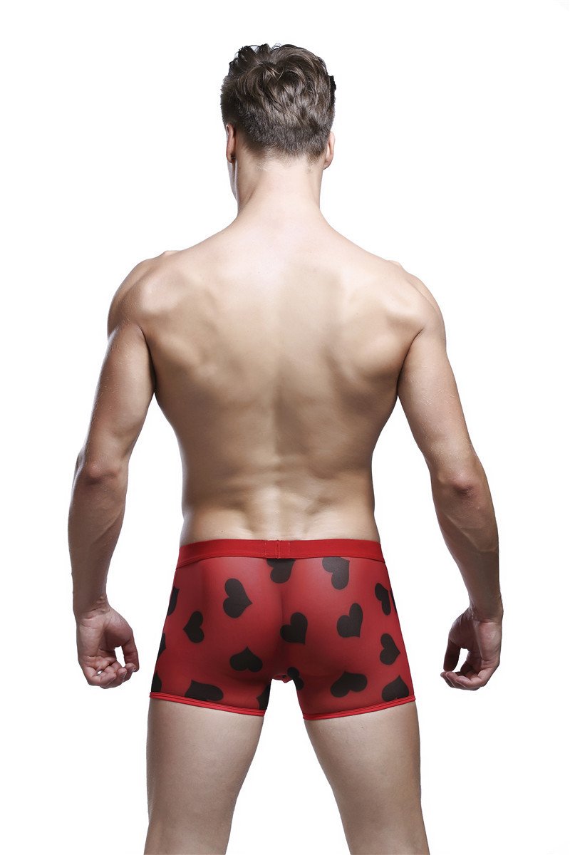 Printed boxer briefs - Image 5