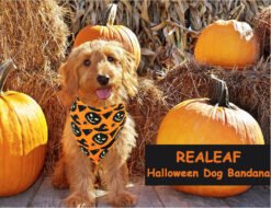 Alternative view of Halloween Dog Bandanas Pumpkin And Spider Web Bibs Triangle Reversible Fall Pet Scarf Premium Durable Fabric Adjustable Fit