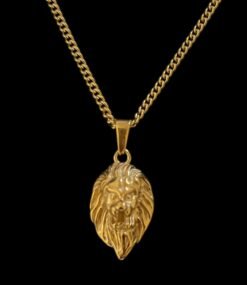 Necklaces - Gold, Lion necklace