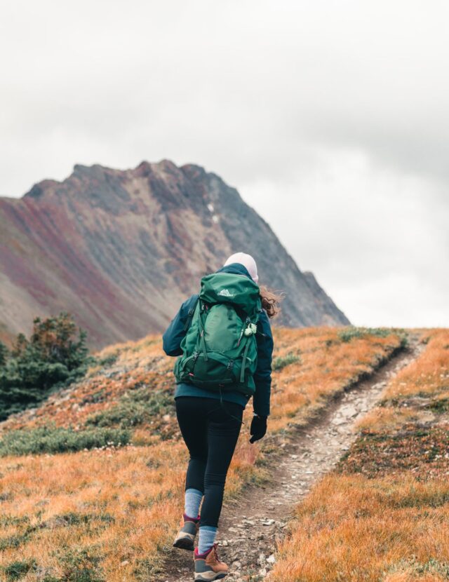 ModSession travel backpack in use