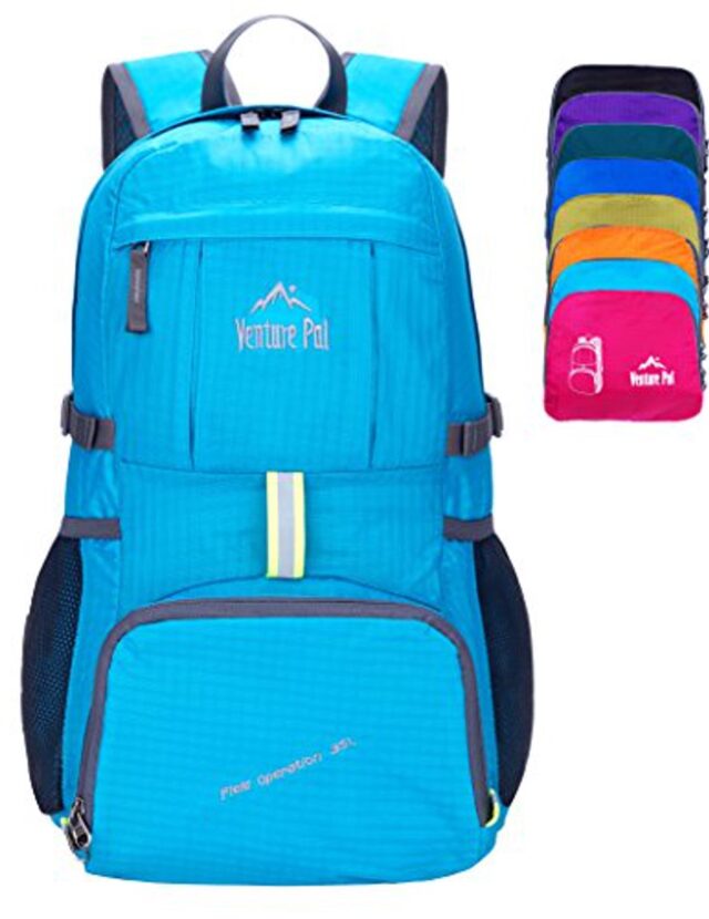Venture Pal 35L Packable Travel Daypack - Blue